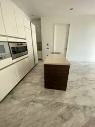 Marina Collection (D4), Condominium #588404881